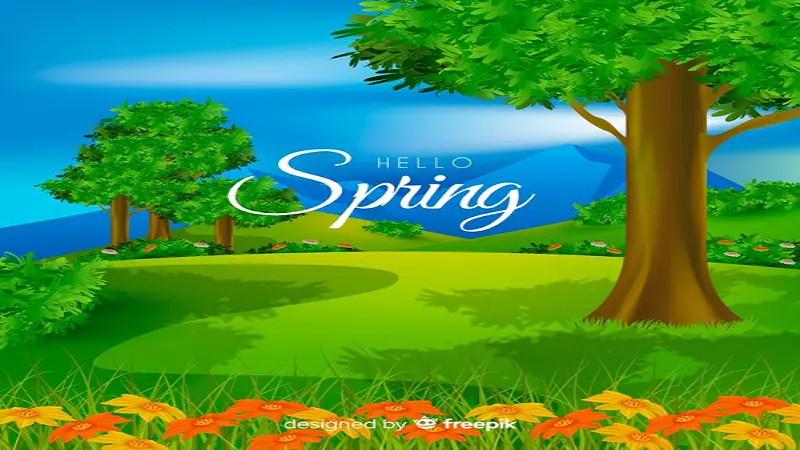 Spring Hillmedgroup Com